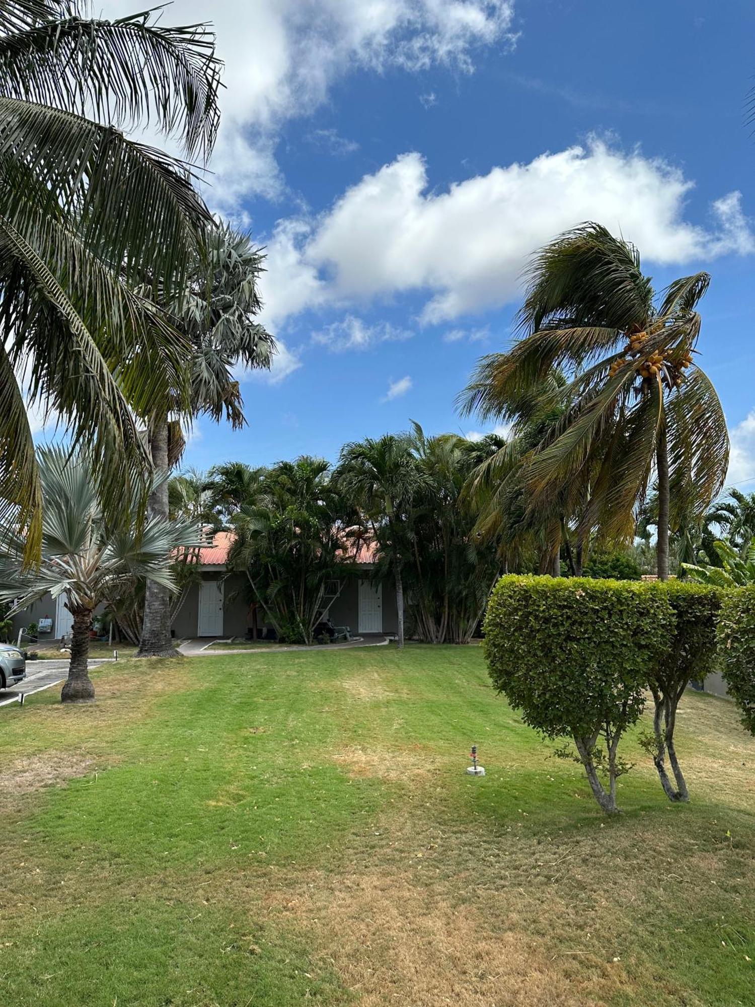 וילמסטאד Windmill Apartments Curacao מראה חיצוני תמונה