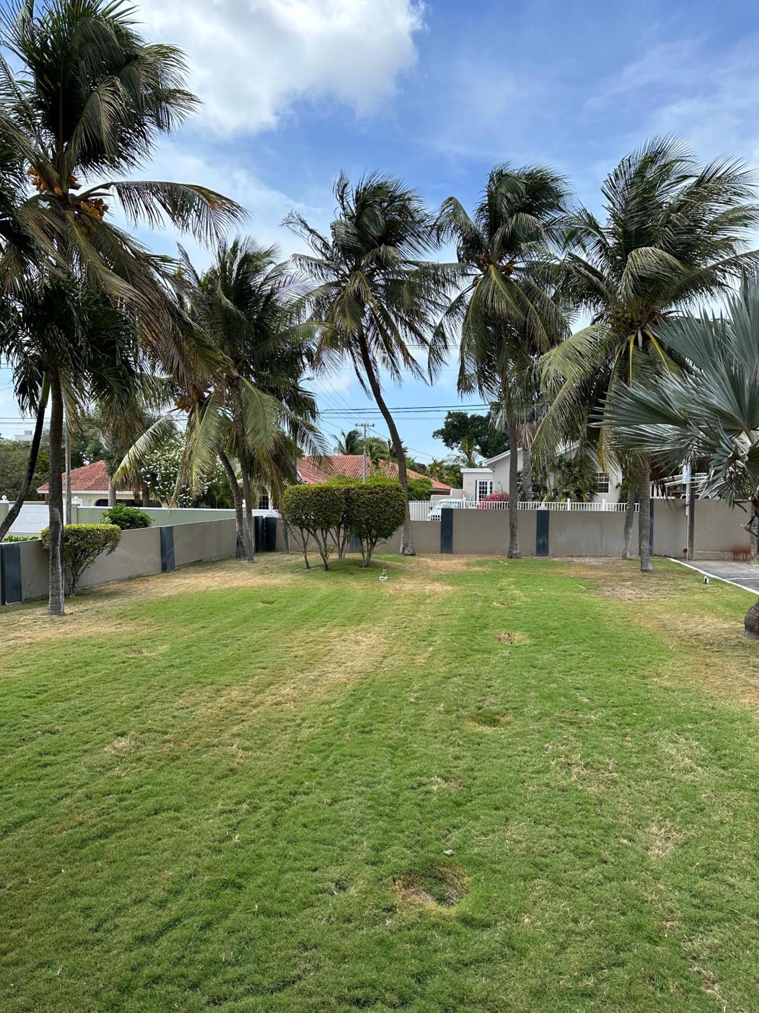וילמסטאד Windmill Apartments Curacao מראה חיצוני תמונה